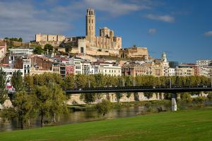 Lleidantic. Saló d'Antiquaris i Brocanters a Lleida